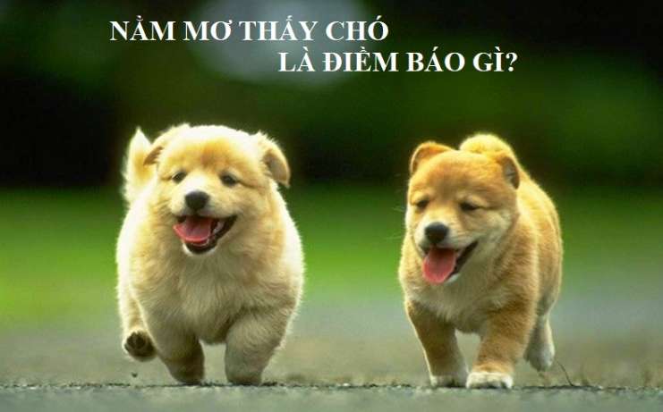 Trang web D9bet đã được đổi thành trang web sawan289 chưa? - D9bet