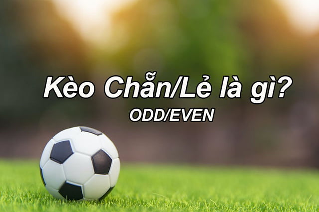 Những điều cần lưu ý khi tải ứng dụng game xếp hạng Ee8801 về điện thoại của bạn - Ee8801