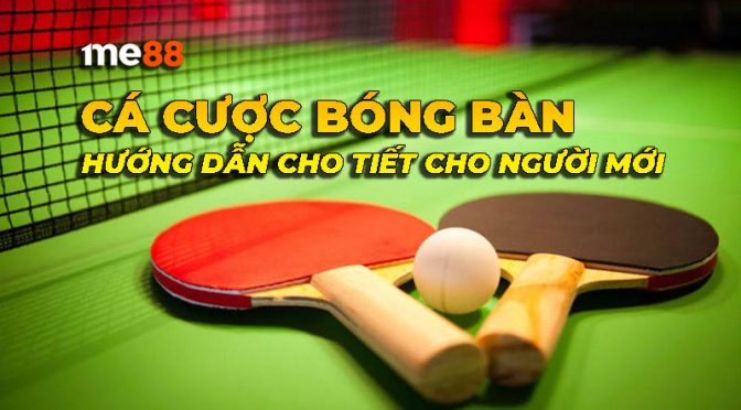 Sv66 Games sẽ tặng 38000 phần thưởng miễn phí - Sv66