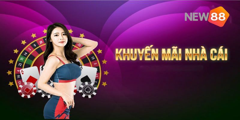 Cá cược các trận đá gà cấp Okking rất đơn giản và tiện lợi - Okking