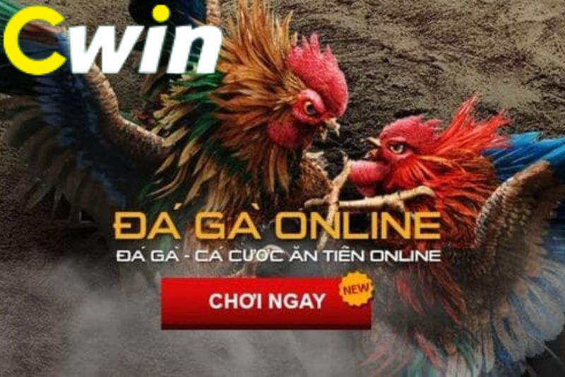 Jdb777 có vui không? Bạn đang làm gì ở đây vậy? - Jdb777