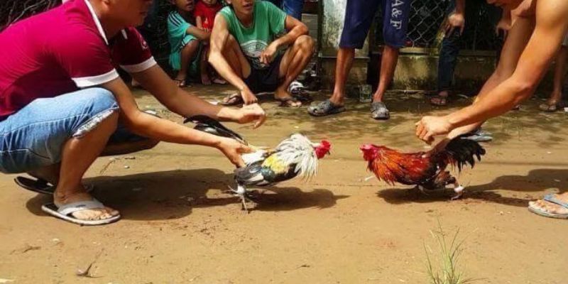 Tổng quan về các thiên đường giải trí hạng Sking88 - Sking88