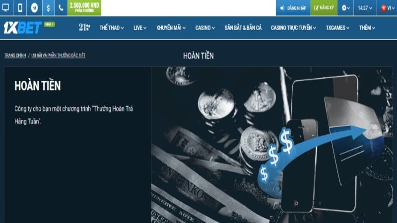 King33 hỗ trợ đến mức nào? - King33