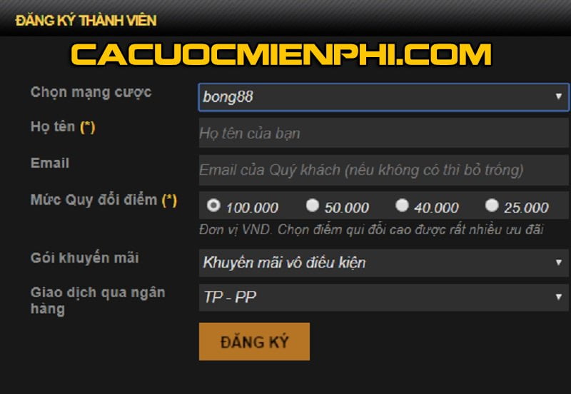 Bước vào thế giới của các sự kiện thể thao cấp Raybet - Raybet