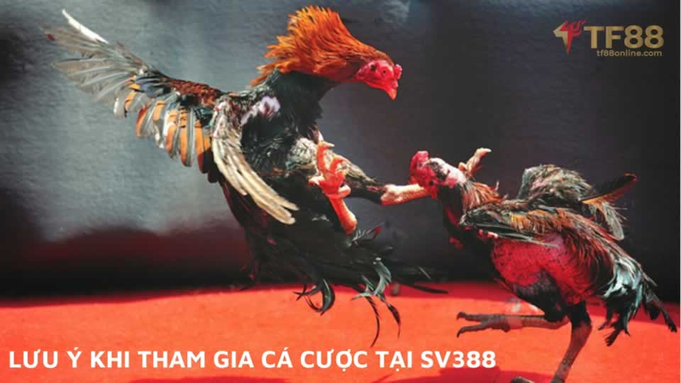 Những điều cần lưu ý quan trọng khi rút tiền từ quỹ M8win - M8win