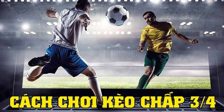 Nhận thông tin số nhận dạng xe 95Vn bất cứ lúc nào - 95Vn