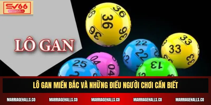 Giới thiệu về nền tảng trò chơi Zbet88 - Zbet88