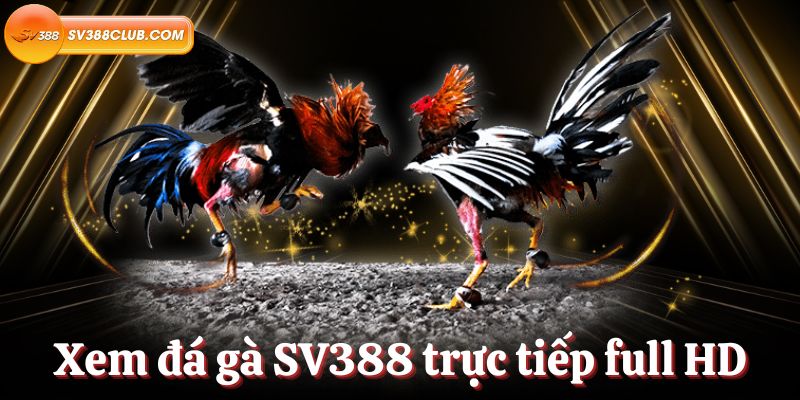 Máy đánh bạc đạt xếp hạng Sv66 là máy đánh bạc mới nhất năm 2026 - Sv66
