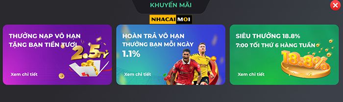 Đấu trường đá gà trực tuyến phổ biến nhất của Okking - Okking