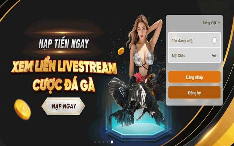 Oke88 cung cấp nhiều phương thức gửi và rút tiền tiện lợi - Oke88