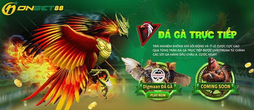Liệu việc thử chơi game trên một trang web được xếp hạng Fic88 có thực sự đáng giá? - Fic88
