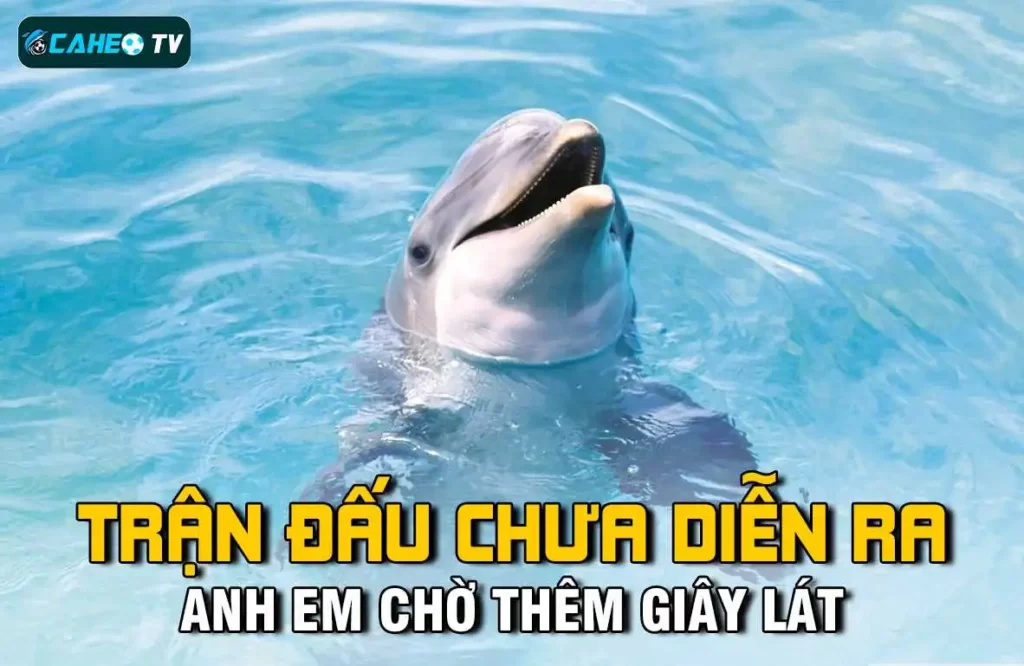 Chương trình khuyến mãi hoàn tiền sửa chữa 126Bet phổ biến nhất - 126Bet