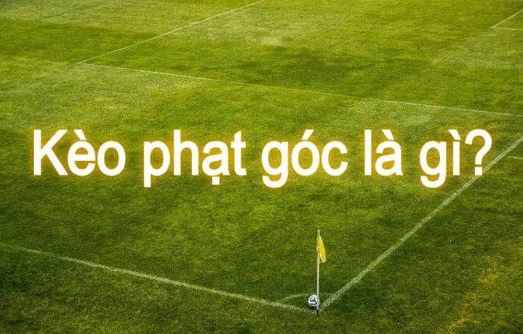 Hướng dẫn đăng ký/đăng nhập Ptwin - Ptwin