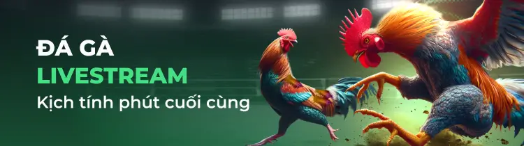 Các công ty game được xếp hạng 2Q mang lại giá trị đáng kể cho người chơi cá cược - 2Q